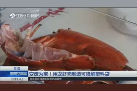 吃完龙虾，壳别急着扔！英国新技术能用龙虾壳制出可降解塑料袋
