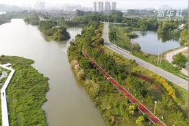 广州绿道打造城市“幸福路”视频封面