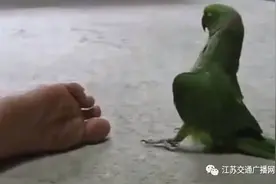 他一个月不洗脚，隔三米远就能闻见臭，竟是为了……图片