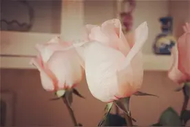 爱情经不起平淡，友情经不起风雨，而我被夹在了爱情和友情的中间图片