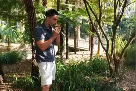 走进悉尼皇家植物园：这种草可以防蛇 还可以吹口哨视频封面