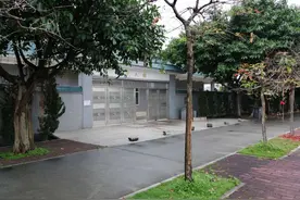 海珠街坊这么多清明思亲方式，您都知道吗图片