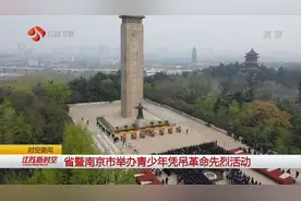 南京市凭吊先烈活动火热展开！雨花台烈士林园，向英雄敬礼视频封面