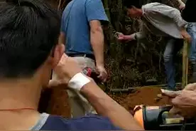 佛山高明发现大蟒蛇，3米多长，约100斤重（附视频）视频封面