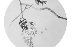 今日清明丨杨柳泛青，莺飞草长图片
