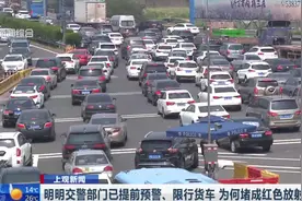 清明假期首日，上海高速路变大型“停车场”！出行的你被堵了吗？视频封面