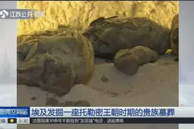 考古新发型！埃及发掘一座托勒密王朝墓葬，可追溯至公元前305年视频封面
