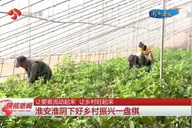 让“要素”流动起来，让乡村旺起来，淮安“下好乡村振兴一盘棋”视频封面