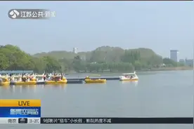 南京玄武湖水质清澈，却出现死鱼，景区称多半是“放生鱼”视频封面
