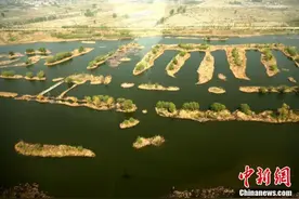 航拍苏皖交界黄河故道二坝湿地 春意盎然美如画卷图片