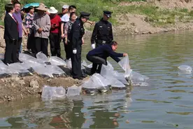 非法捕鱼把自己“捕”进法网 男子被罚放养鱼苗10000余尾视频封面