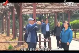 上海：“最美屋檐”百岁紫藤绽放 “百花争艳”晚樱迎来盛花期视频封面
