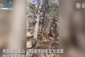 天天防火呀，不要抽烟昂！东北味魔性森林防火宣传录音悄然走红！视频封面