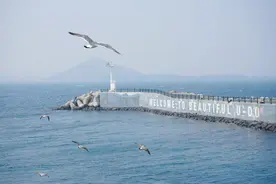 韩国之旅图片
