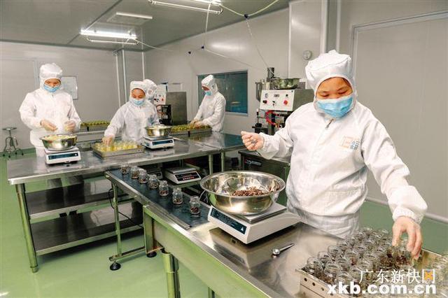 清润花胶粉 2026年花胶粉是什么