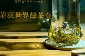 品一杯竹叶青，把所有春天喝进去  川渝作家诗人组团“春日茶山行”视频封面