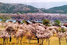 【提醒】你想要的2019年内蒙古春季旅游攻略都在这里！图片