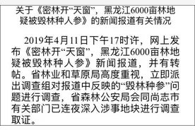 黑龙江6000亩密林疑被毁种人参，官方回应图片