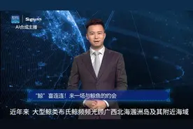 AI合成主播|“鲸”喜连连！来一场与鲸鱼的约会视频封面