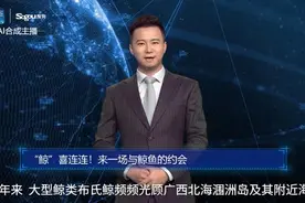 AI合成主播|“鲸”喜连连！来一场与鲸鱼的约会视频封面