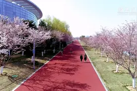 山东荣成：春天里的花色盛筵视频封面