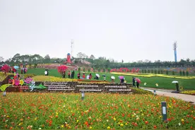 广元花花世界 催热“美丽”经济视频封面