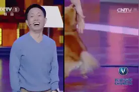 狗狗对女主人太依赖，一上场狗狗瞬间变样，完全控制不住激动地心视频封面