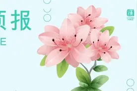 花点时间游武汉——花期预报第十二期「杜鹃花」图片
