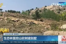 生态林红线区内挖山砍树！“堂而皇之”盖别墅，多次反映仍未拆视频封面