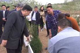 问政山东丨沂源被曝光墓碑质量差，村民不满公墓选址，民政厅：半月内解决视频封面