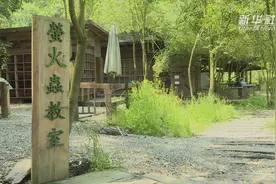 浪漫农场  把夜空中的“精灵”请回家视频封面