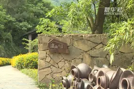 茶舍 书屋……乡村惬意“漫”生活视频封面