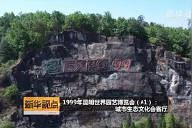 1999年昆明世界园艺博览会（A1级）：城市生态文化会客厅视频封面