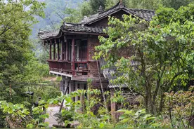 四川发现 | 峨眉山20公里外的普贤寺藏有两条神秘的“低头龙”视频封面