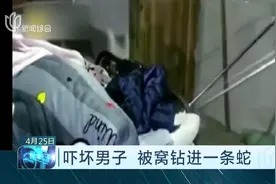 谁在和我睡觉?男子睡觉被窝钻进一条重1斤半的蛇，这也太吓人了！视频封面