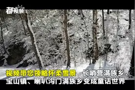 今天,北京下雪了!这些地儿的雪景颜值爆表视频封面