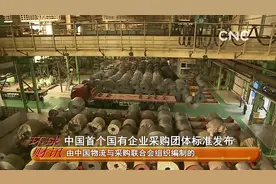 中国首个国有企业采购团体标准发布视频封面