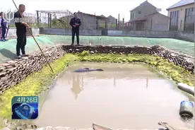钓鱼钓出“巨无霸”！海门一鱼塘钓起青鱼王，体型巨大寿命约30年视频封面