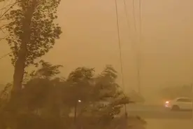 新疆南疆部分地区遭遇沙尘天视频封面