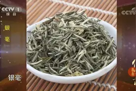 茉莉花茶究竟是种什么茶？一段视频让人彻底了解，还有众多分类视频封面