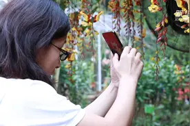 植物园的美妙世界视频封面