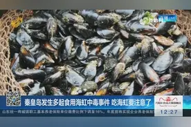 吃海虹要注意了!秦皇岛发生多起食用海虹中毒事件,真相竟是这样视频封面