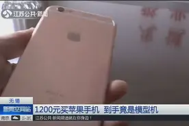 1200元买到iphone X？到手竟是模型，还赔进去了自己九成新的vivo视频封面