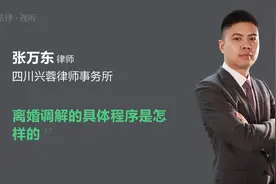 离婚调解的具体程序是怎样的视频封面