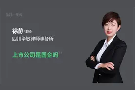 上市公司是国企吗视频封面