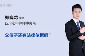 父债子还有法律依据吗视频封面