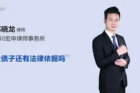 父债子还有法律依据吗视频封面