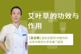 艾叶草的功效与作用视频封面