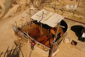 延安脱贫故事——养牛脱贫马延平视频封面
