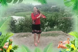 幸福城姐妹花广场舞三妹《感恩妈妈》视频封面